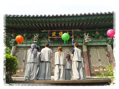 Lotus Lantern