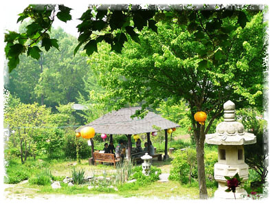 Lotus Lantern